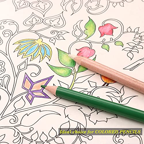 KALOUR Colorless Blender and Burnisher Pencils Set,Non-pigmented, Wax Based Pencil,perfect for Blending Softening Edges,ideal for Colored Pencils,Art Supplies for Artists Beginners(6 Pencils Total) - Image 3